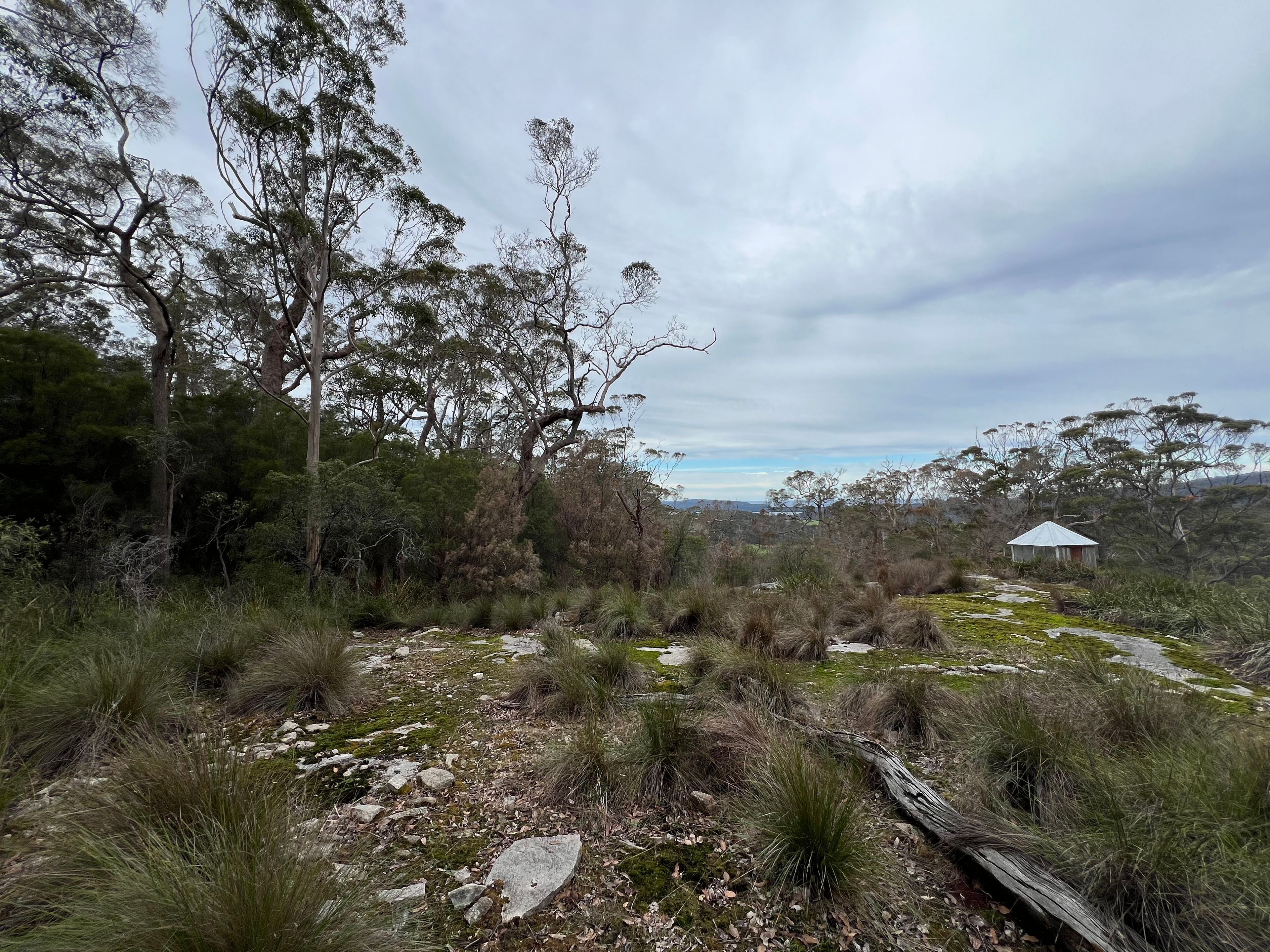 51 PITTAM WAY, SHADFORTH WA 6333, 0 rūma, 0 rūma horoi, Lifestyle Property