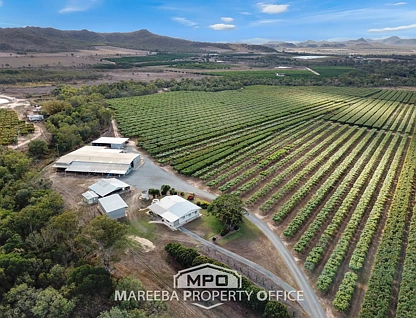 65793 Burke Developmental Road, Dimbulah, Far North, 7 chambres, 5 salles de bain, Lifestyle Property