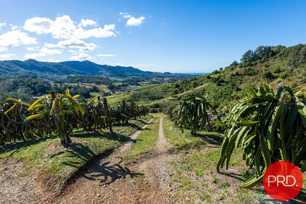 115B-115c Bennetts Road, Coffs Harbour, NSW 2450