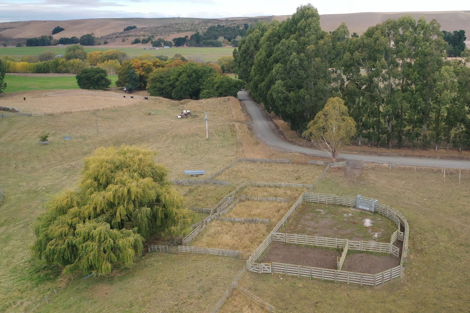 518 Elephant Hill Road, Waihao Downs, Waimate, 0 chambres, 0 salles de bain, Cropping