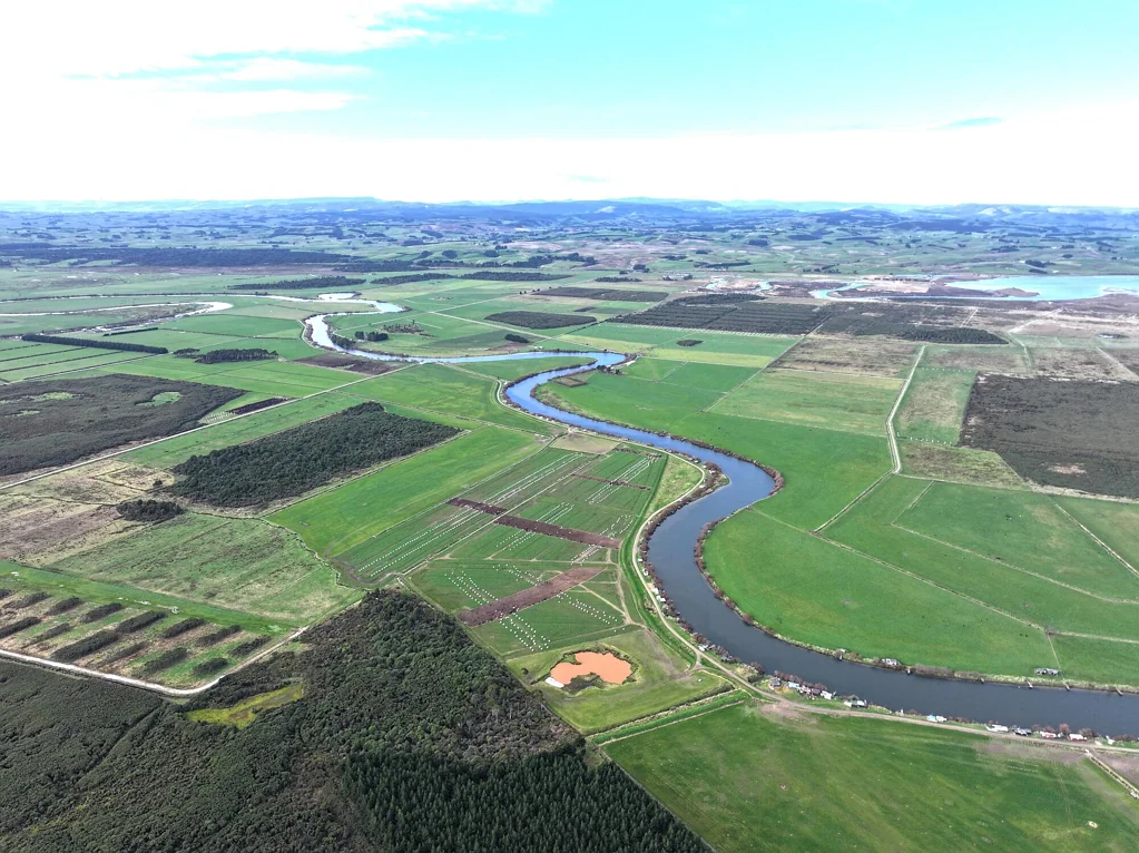 Wyndham Surrounds  Dairy Support With Carbon Investment Opportunity