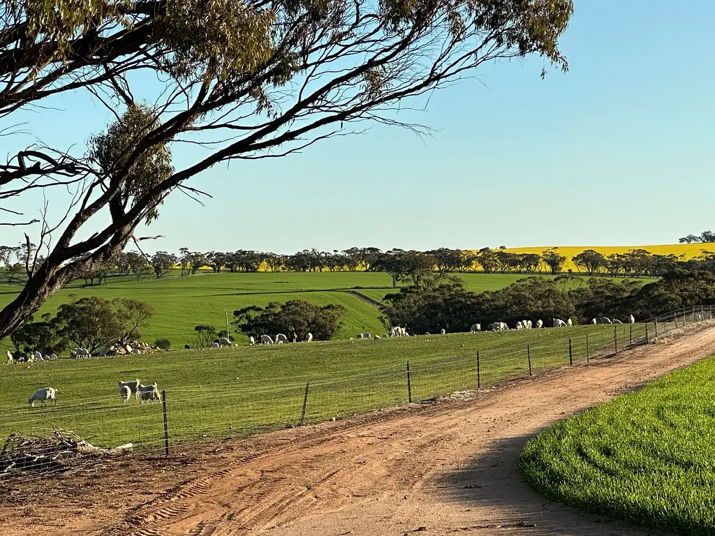 Mumberkine  80 Acres | Exceptional Water Security | Quality Infrastructure
