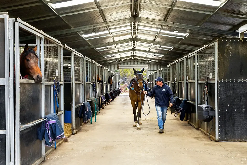 Clunes 5બેડરૂમ 13.30HA (32.86 Acres) "Rosehill Park" Professional Pre-Training & Breaking Facility