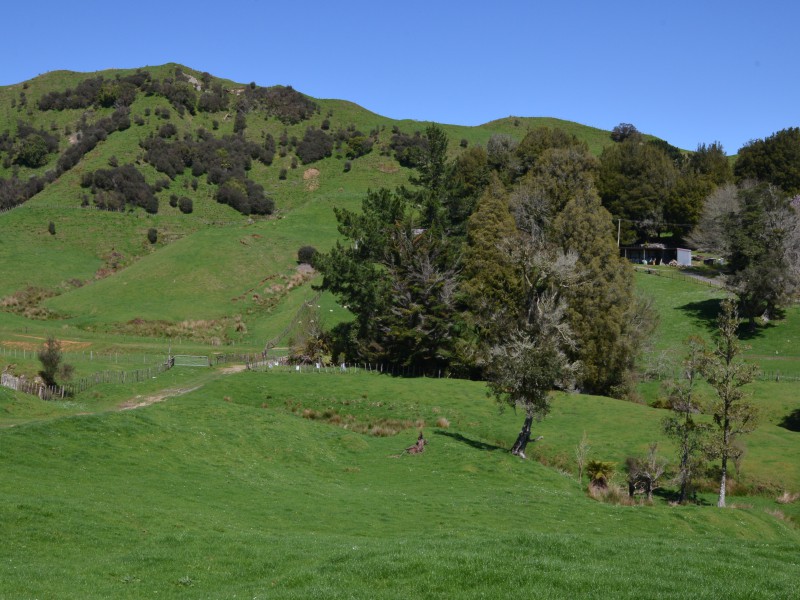 1711 State Highway 4, Aria, Waitomo, 0 ਕਮਰੇ, 0 ਬਾਥਰੂਮ