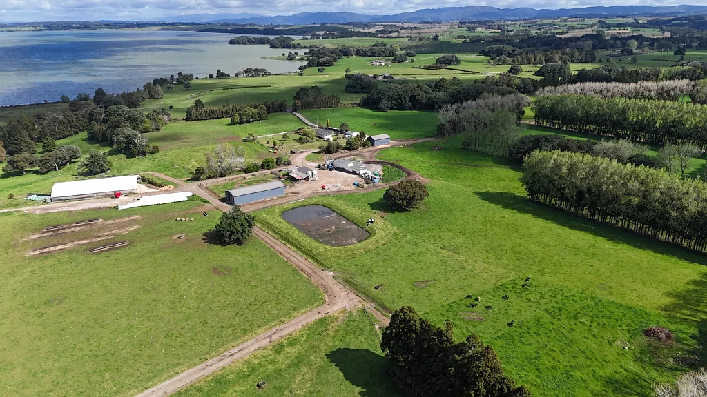 Kaikohe Very Attractive Bay of Islands Dairy Unit!