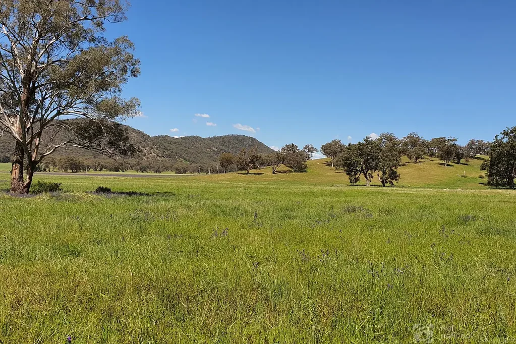 Mudgee FARMING AND LIFESTYLE JUST OUT OF MUDGEE