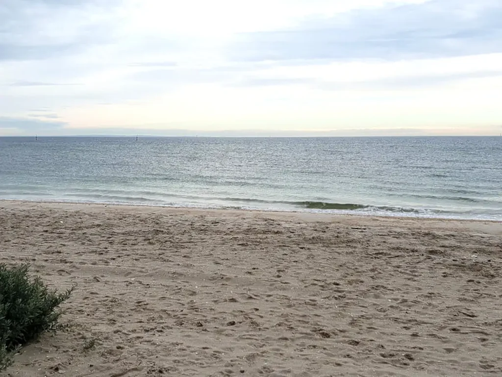 Dromana 1ਬੈੱਡਰੂਮ "The Tardis" Excellent Location - Set up the deck chairs & soak up the sun