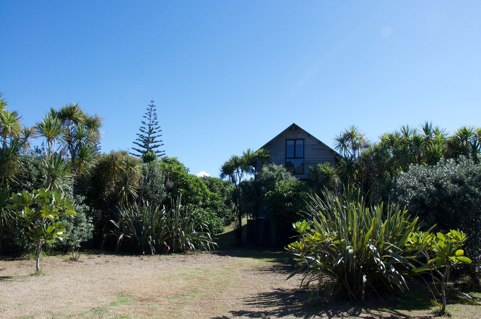 Hauraki Gulf Islands