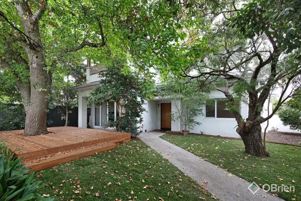 Spacious Family Living with Style, Light & Location - McKinnon Secondary College Zoned