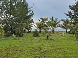 326 Mermaid Circuit, Dundee Beach