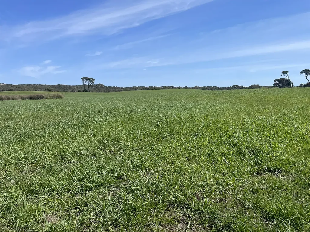 Millicent Productive and Balanced Grazing $8,600,000
