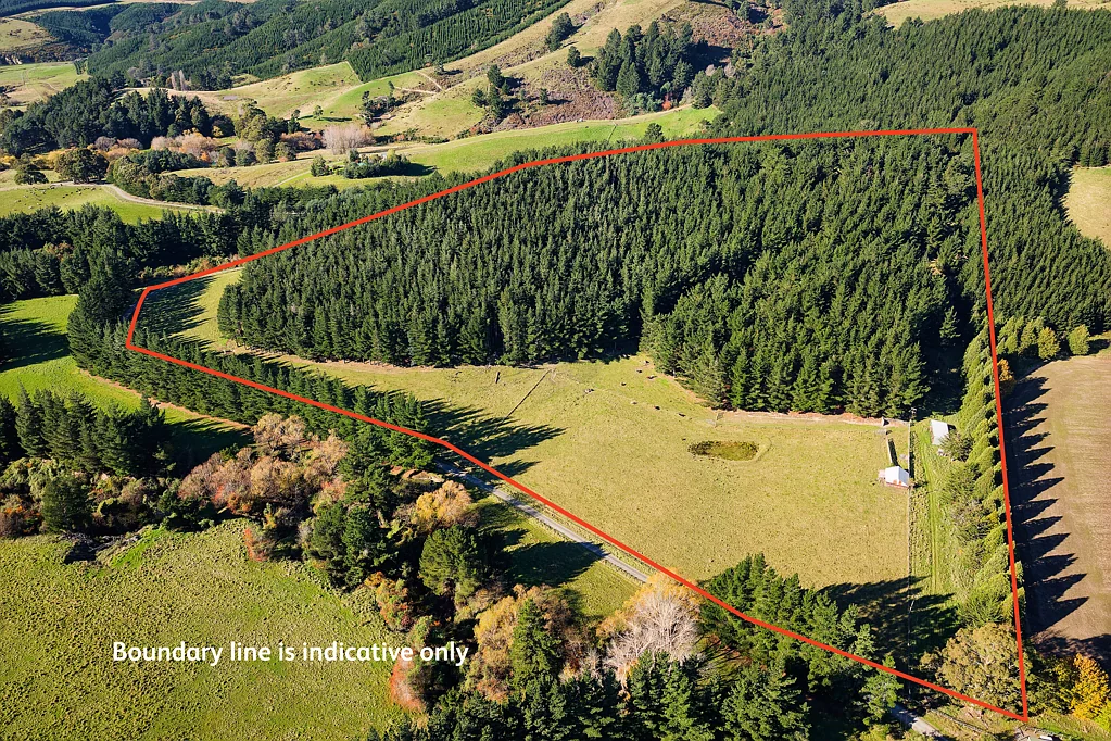 Greta Valley Exceptional lifestyle and forestry opportunity