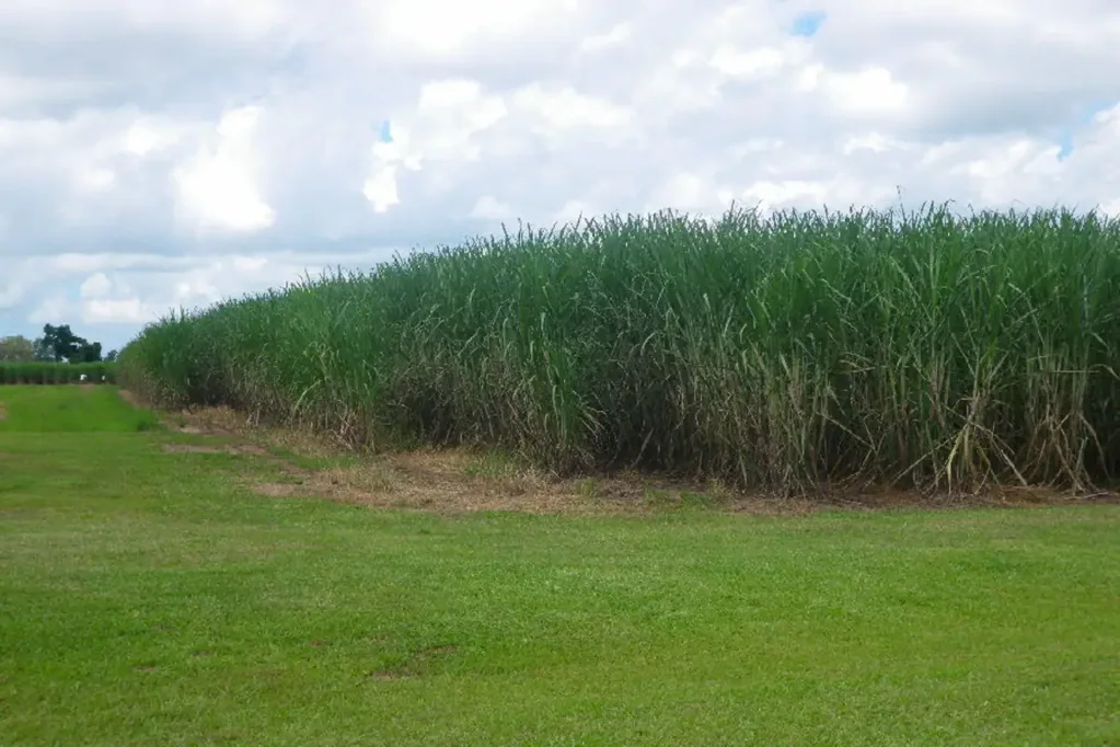 Lot 3 Scotts Road, Lannercost, QLD 4850