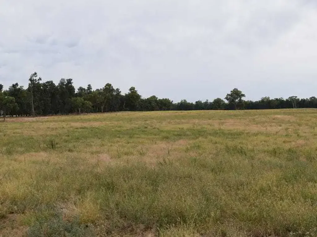 Mulwala  "SLOANE" Savernake Road, Mulwala NSW.