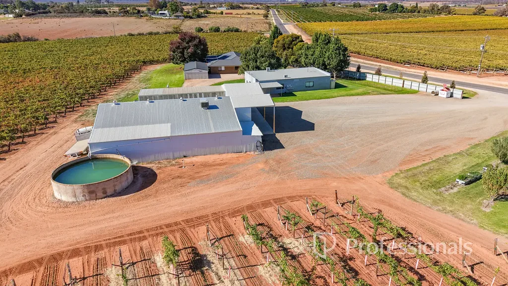 Red Cliffs First Class 20Ha Table Grape Property