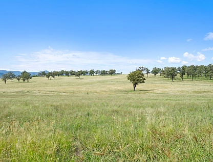 LOT 213 Bakewell Circuit, Scone, Hunter, 0 Schlafzimmer, 0 Badezimmer, Section