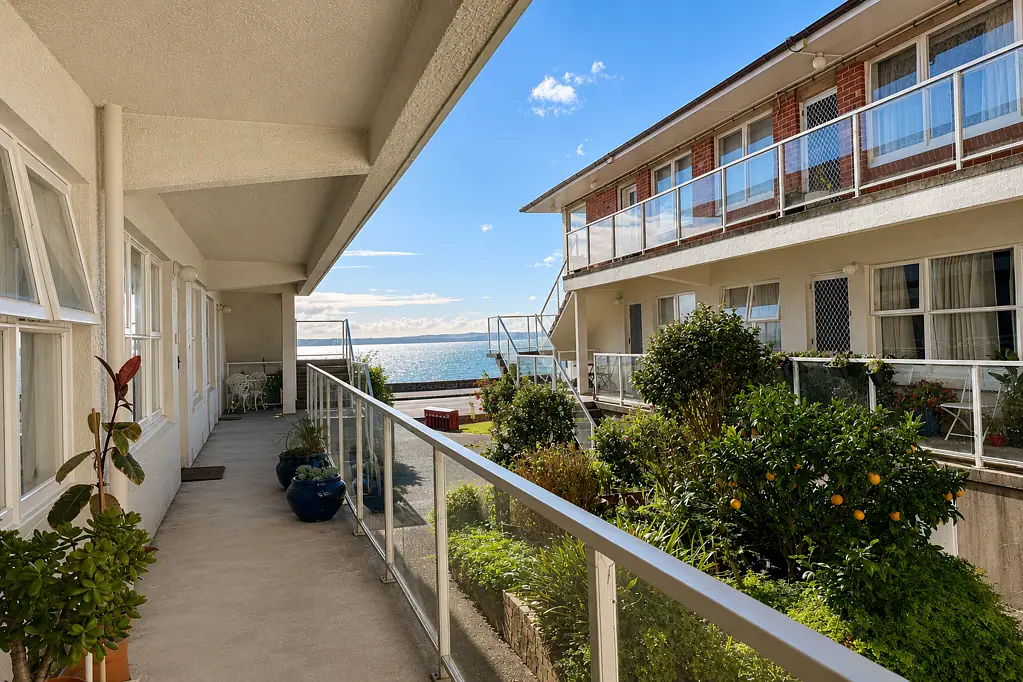 Kohimarama 3 Bedroom #GAMEDAY - Live the Kohi Dream!