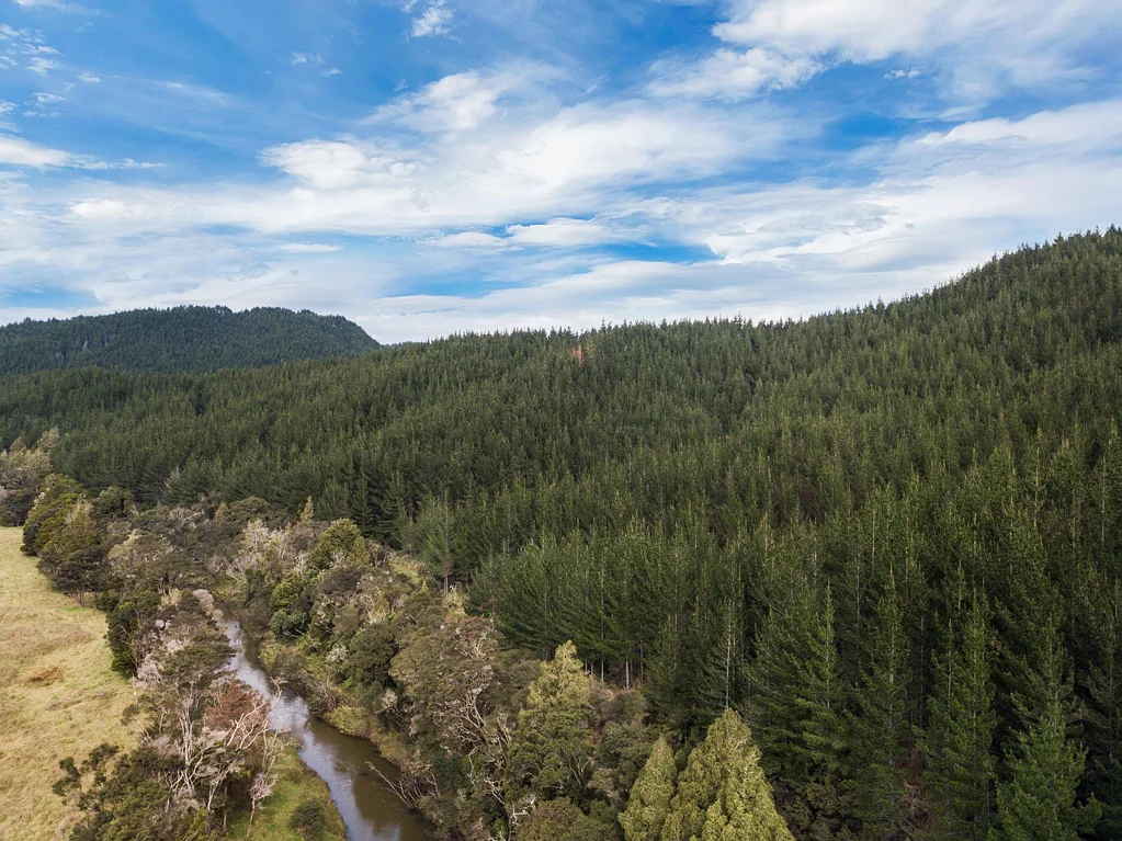 Wellsford Grab this opportunity and unleash the POTENTIAL!