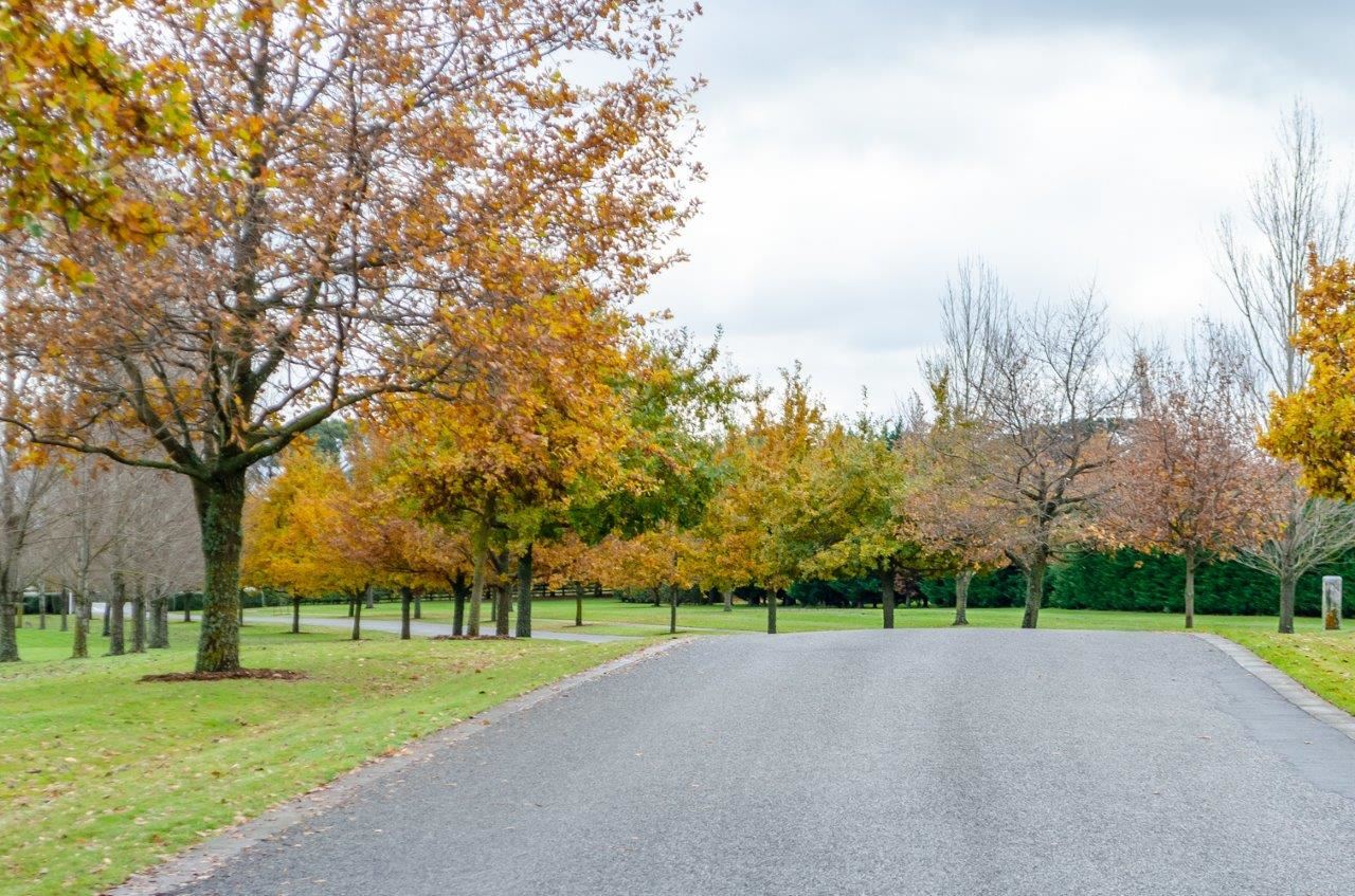 18 Fairway Drive, Martinborough, South Wairarapa, 3 Kuwarto, 0 Banyo