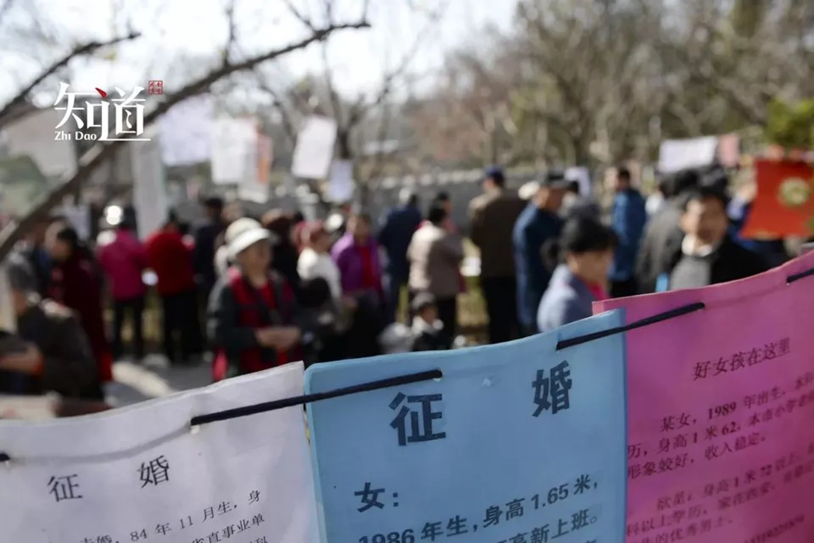 相亲不敢公开高学历,1.4亿人正在头疼婚恋问题