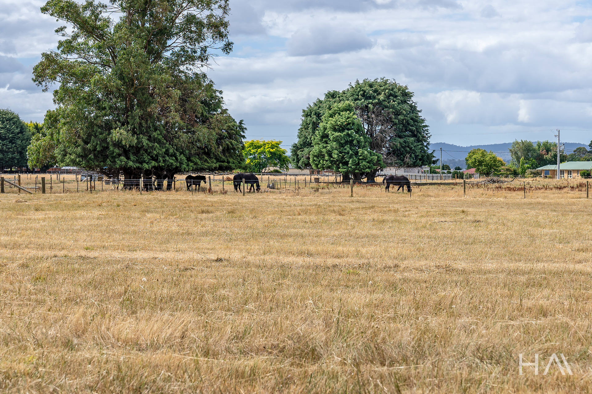 59 BISHOPSBOURNE RD, CARRICK TAS 7291, 0 phòng ngủ, 0 phòng tắm, Section