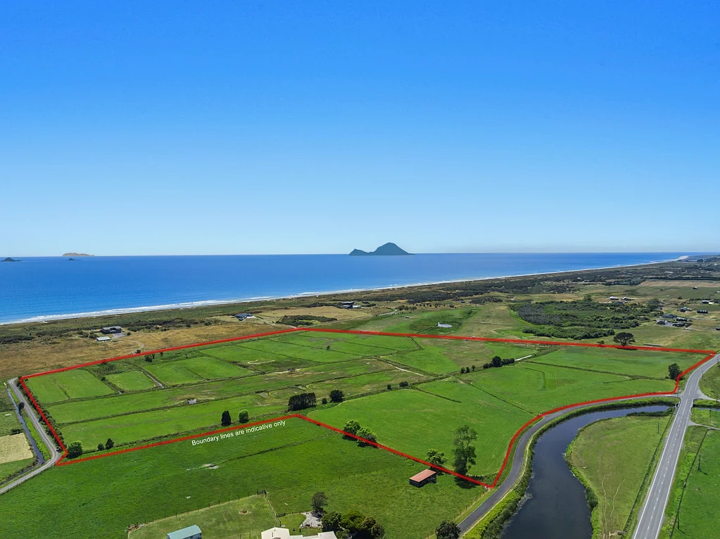 Matata 20ha (50 acres) Lifestyle Grazing Bare Land