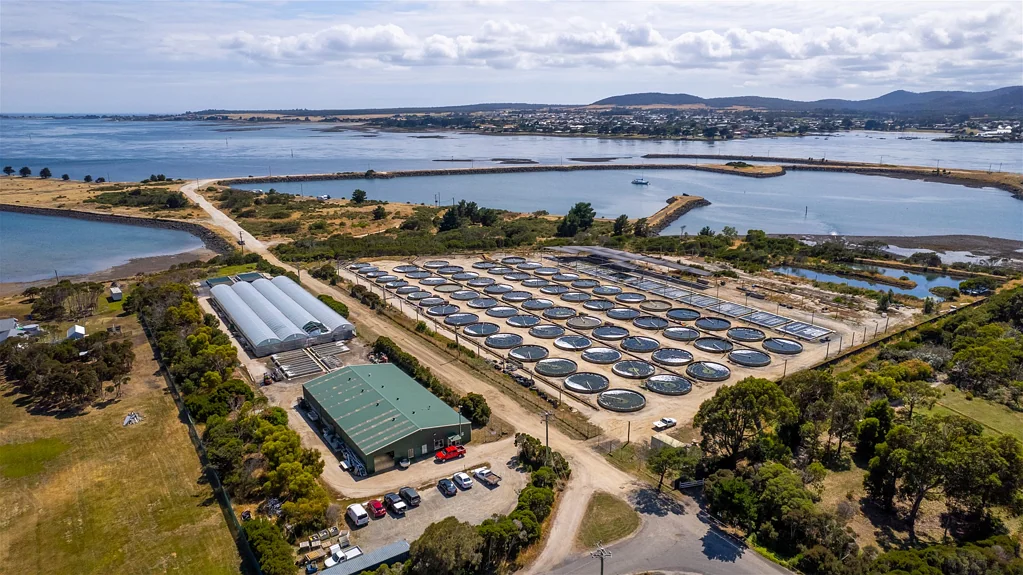 Clarence Point Aquaculture Fish Farm Abalone