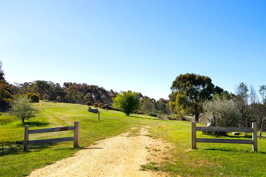 Faraday Panoramic views, established forestry & endless potential- 142 Acres