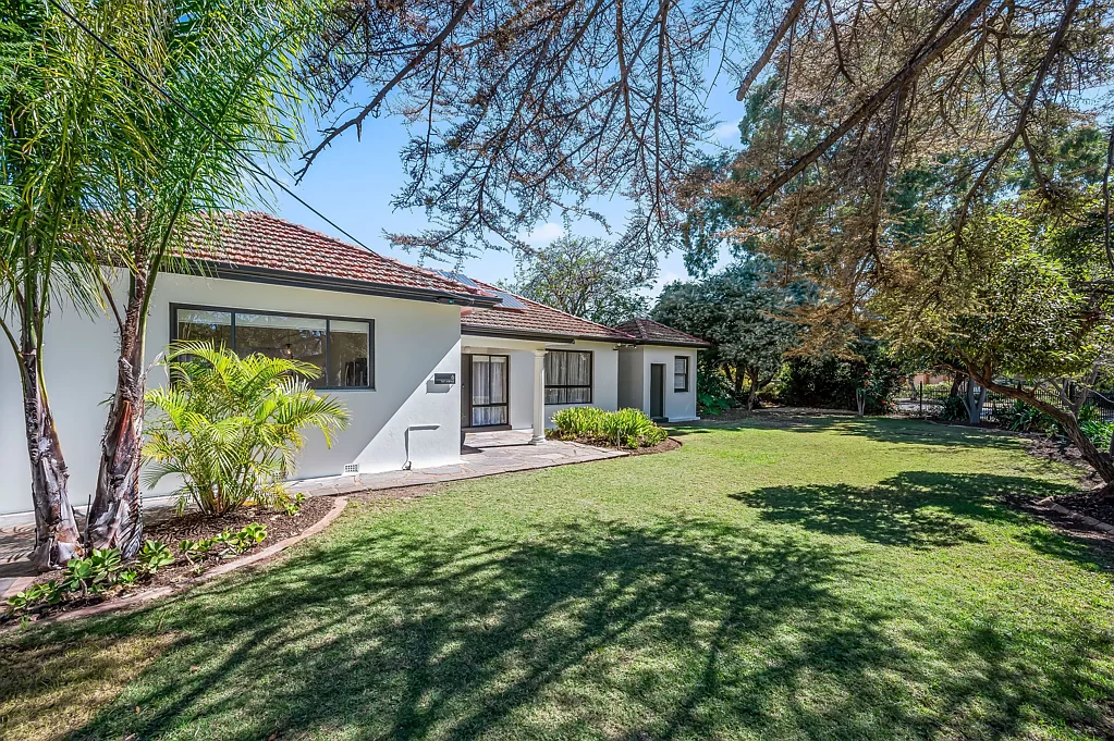 6 Tait Avenue, Marion, SA 5043