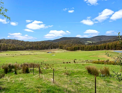 523 Yarlington Road, Colebrook, South East, 3 rūma, 2 rūma horoi, Lifestyle Property
