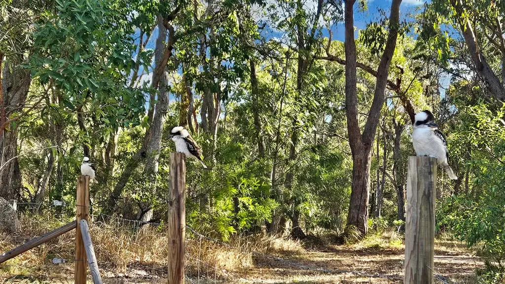 Applethorpe 1कमरा 50.7 Acres | Private Off-Grid Lifestyle Property