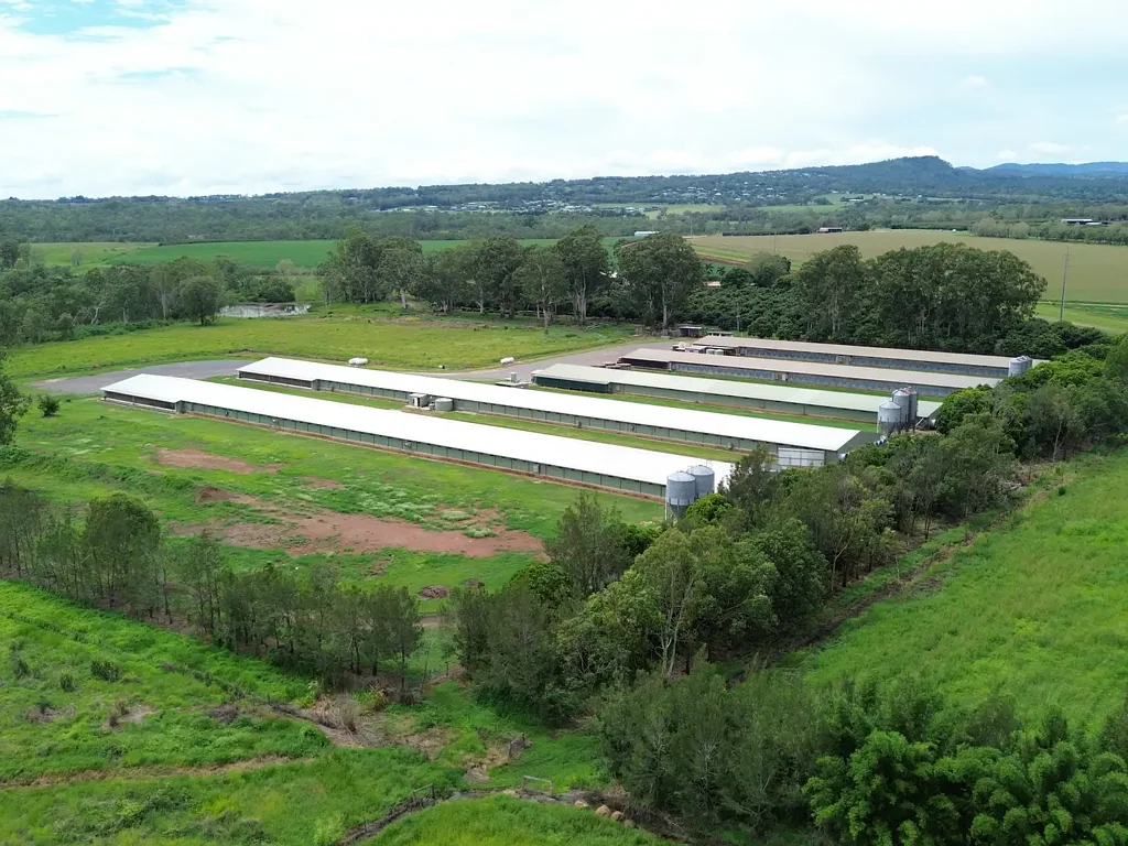 Tolga  Mixed farming,Poultry agribusiness. Expression of Interest (Ends 21st July 2025)