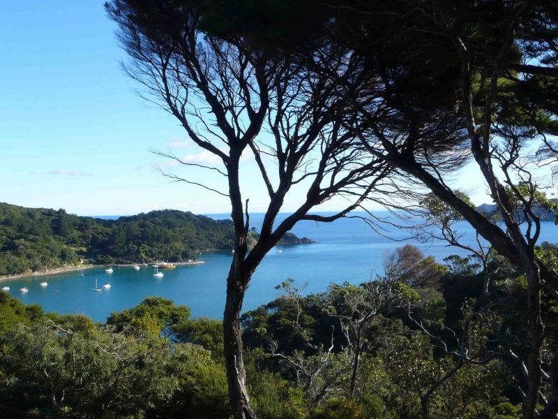 168 Shoal Bay Road, Great Barrier Island (Aotea Island), Auckland, 0 غرف, 0 حمامات