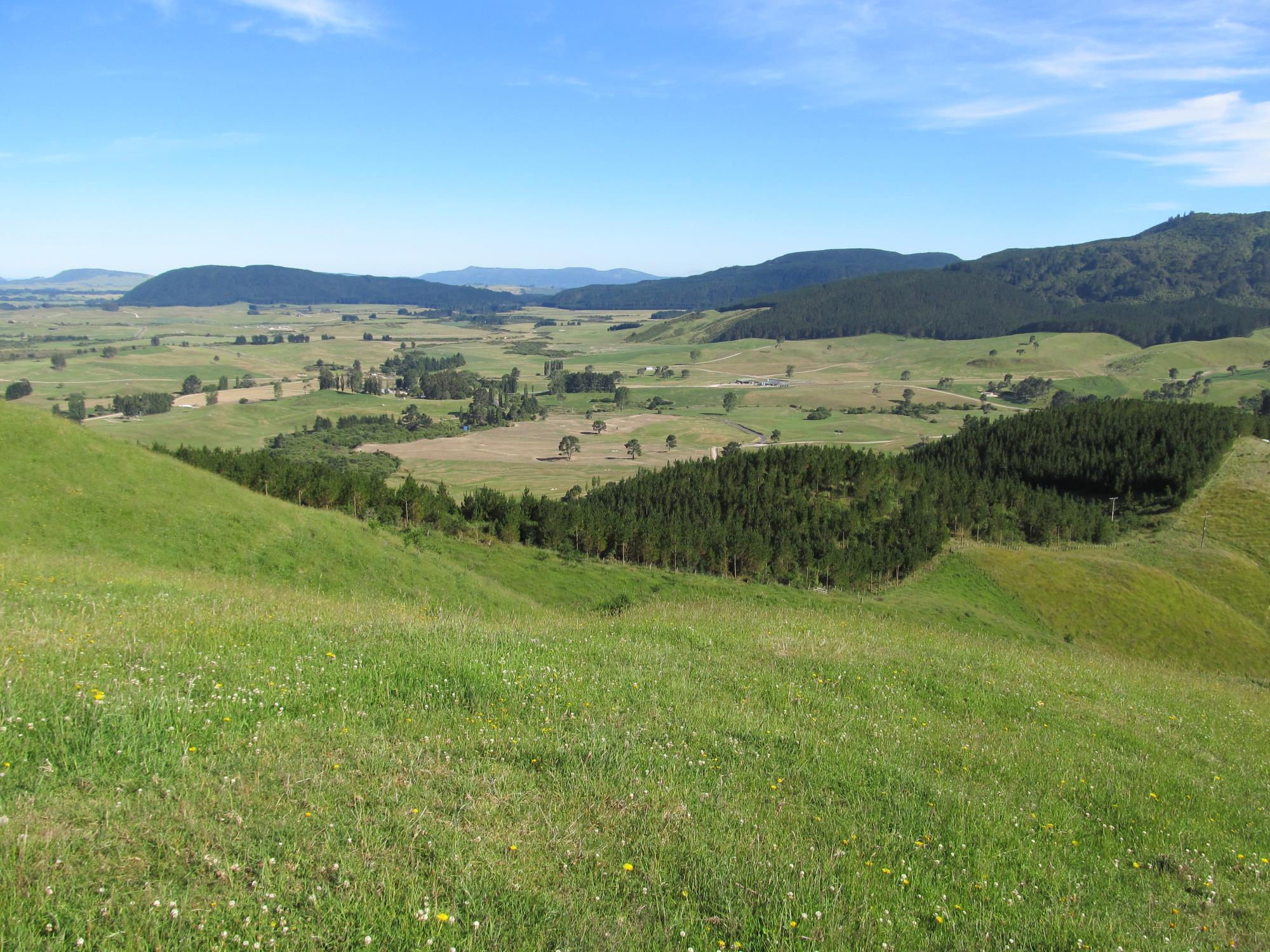 215 Forest Road, Oruanui, Taupo, 2 habitaciones, 0 baños