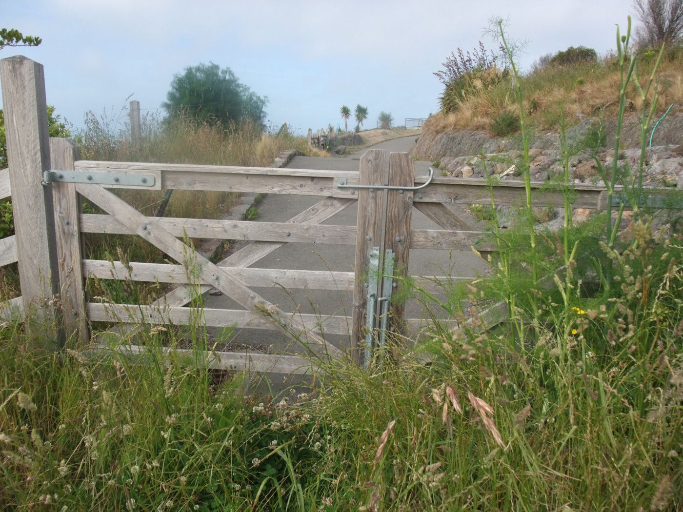 Residential Hills