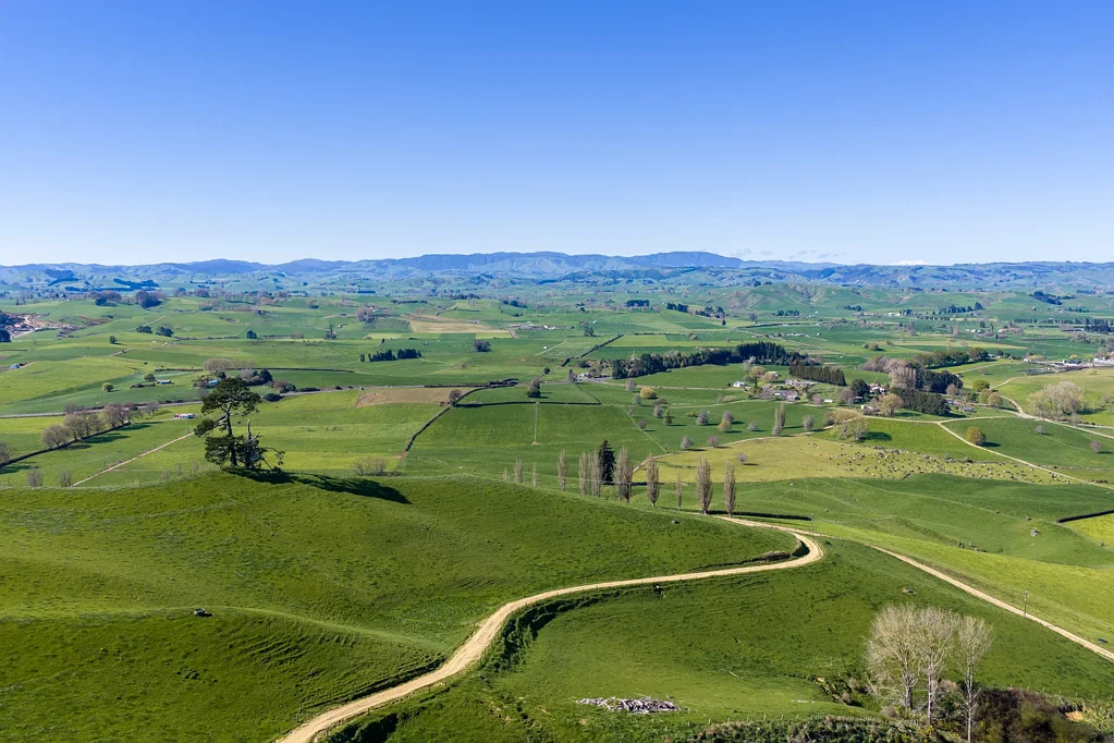Otorohanga Loads of potential, purchasing options