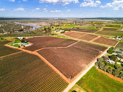 157 Cassia Street, Red Cliffs, VIC 3496, 0房, 0浴, Section