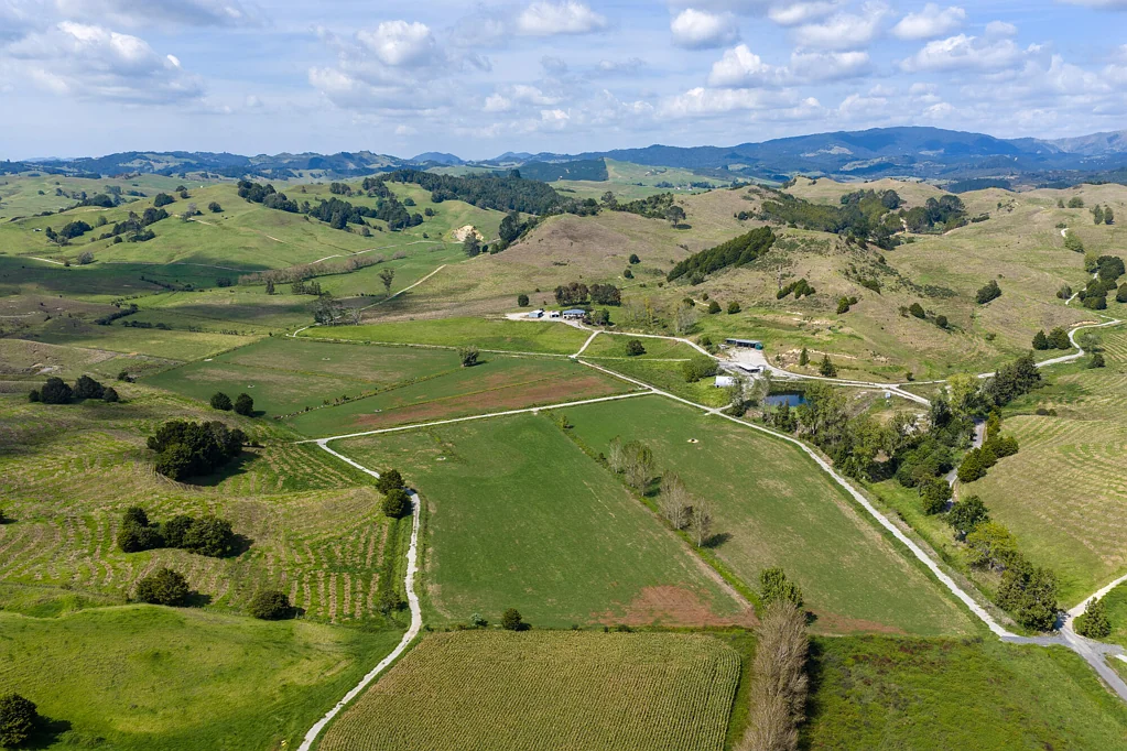 Whangarei Surrounds Action Wanted - Price Reduced
