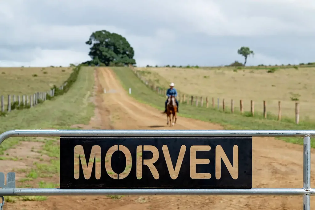 Scrub Creek  Get out of the rat race -  "Morven" on the Brisbane River