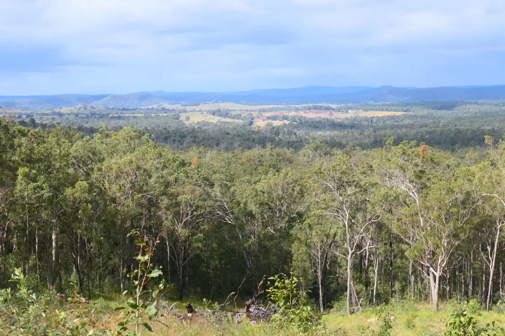 LOT 83/412 Bruxner Road, Drake, NSW 2469