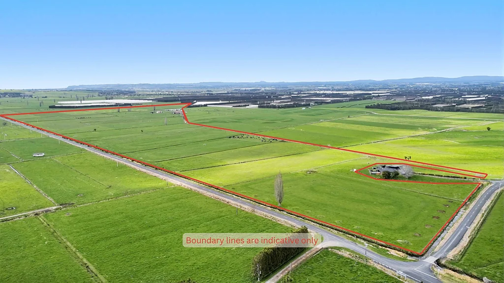 Paengaroa Efficient dairy unit - premium location