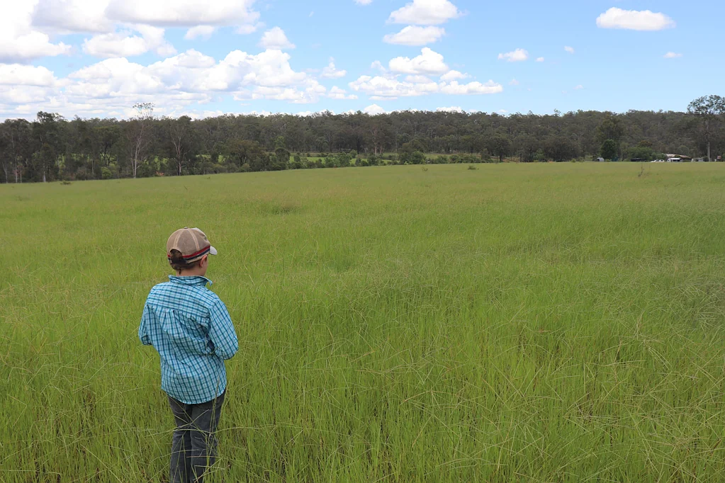 Mundubbera Run 300 Breeders Within 30 Mins Mundubbera