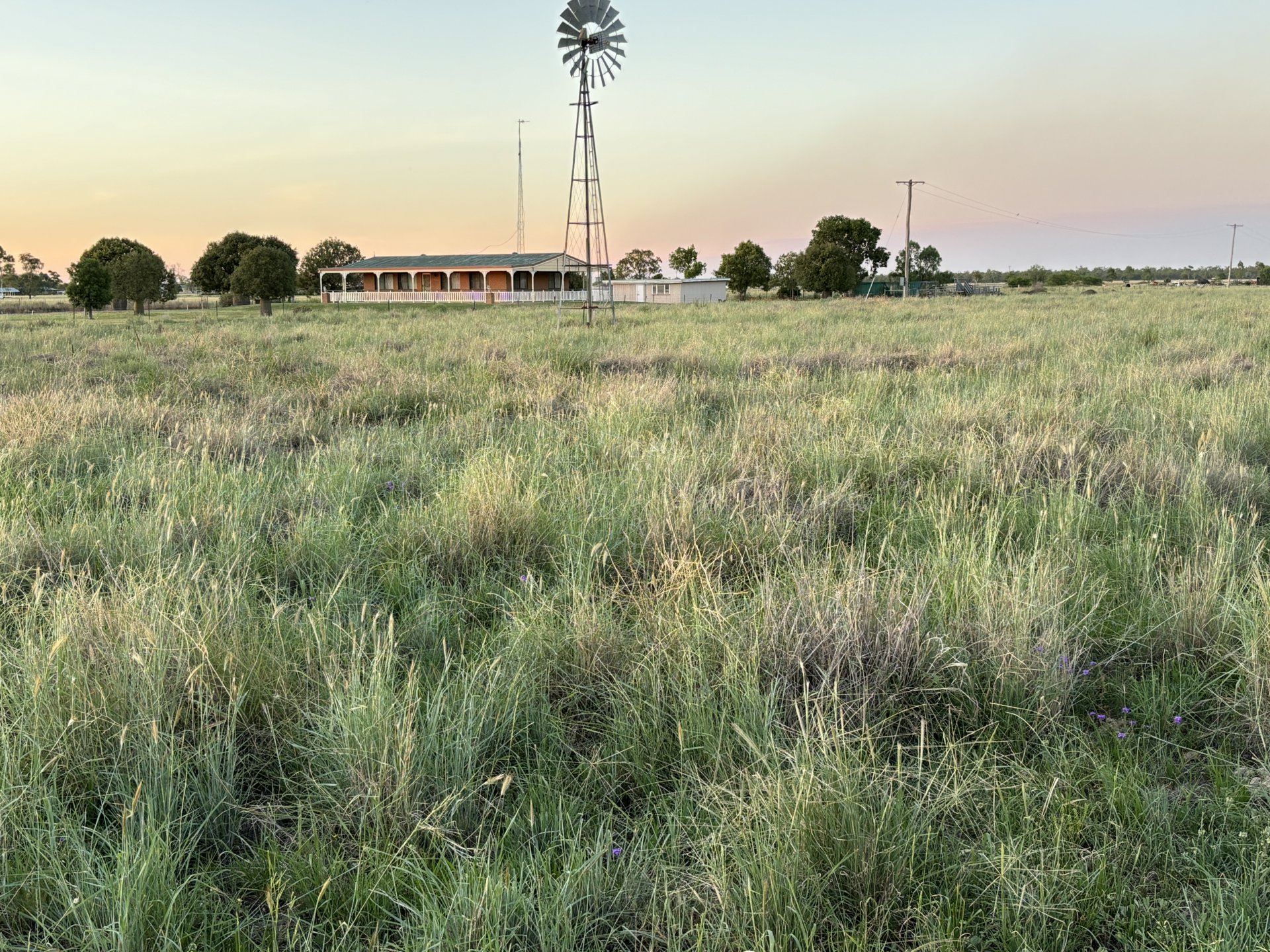 LOW DENSITY RESIDENTIAL