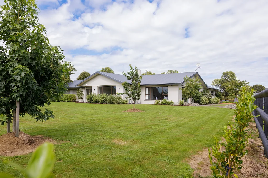 Matamata Space, views and a fresh start
