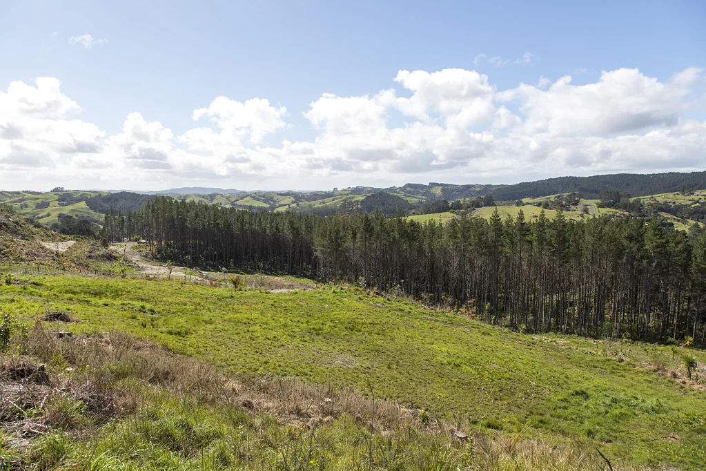 Helensville Yes - Relocate a Home Here