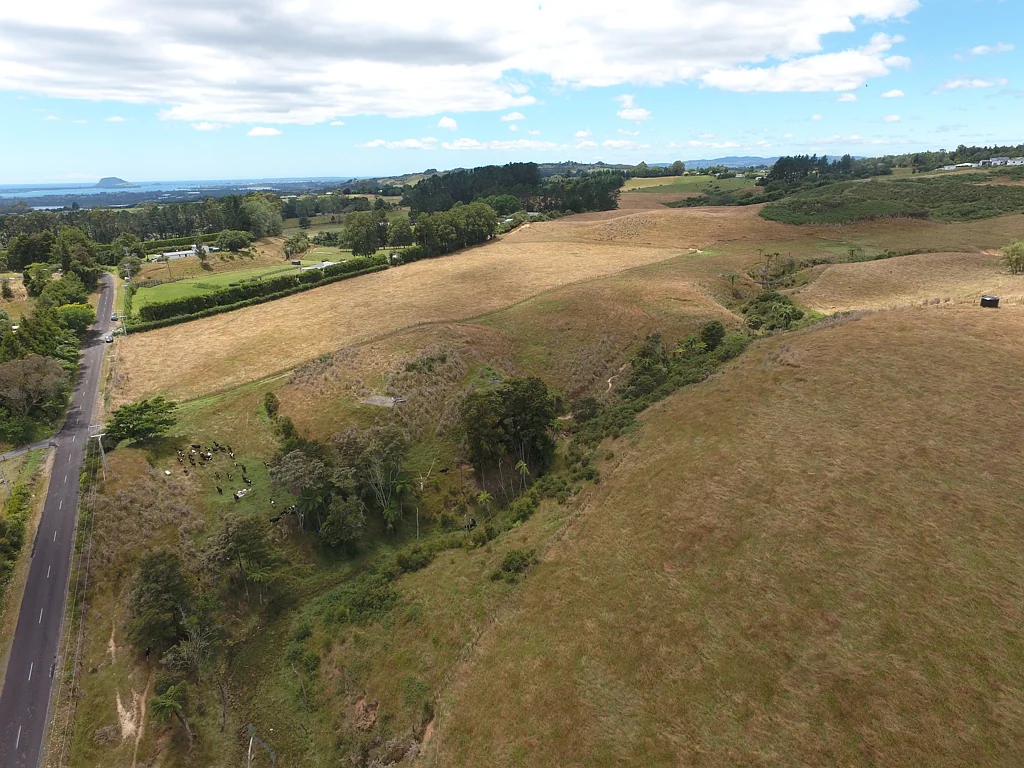 Whakamarama Horticulture, grazing, or cropping
