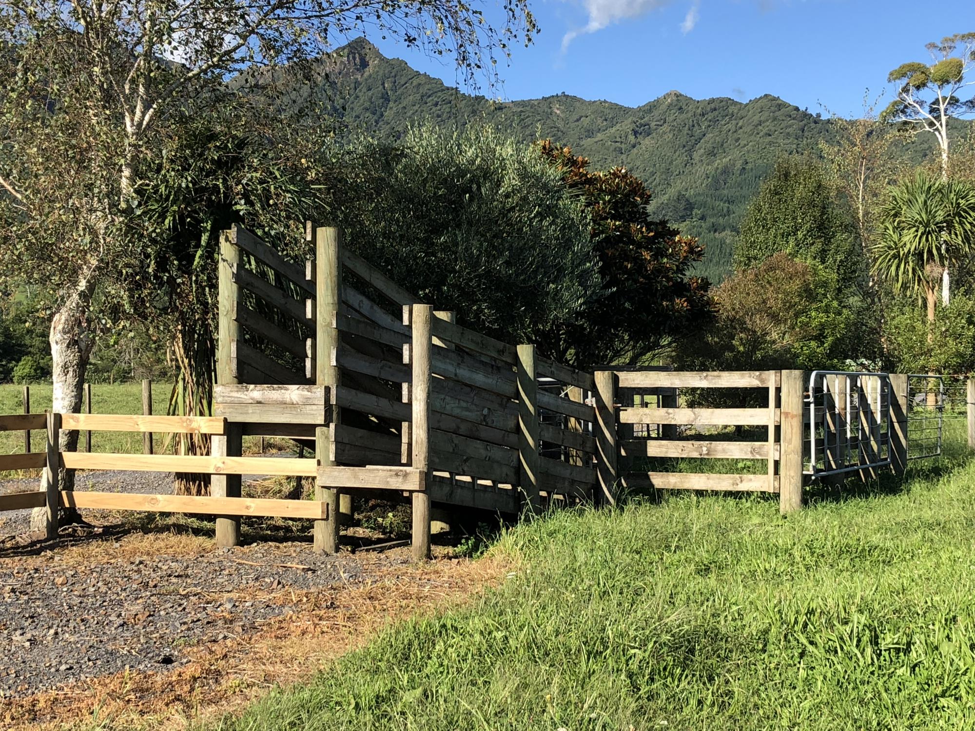 387 Wairakau Road, Manawaru, Matamata, 0 Schlafzimmer, 0 Badezimmer