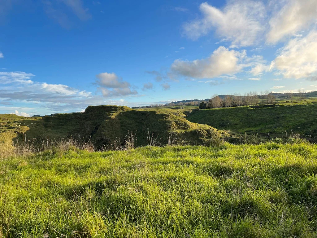 Pakaraka 2 x 10 acre Blocks Available