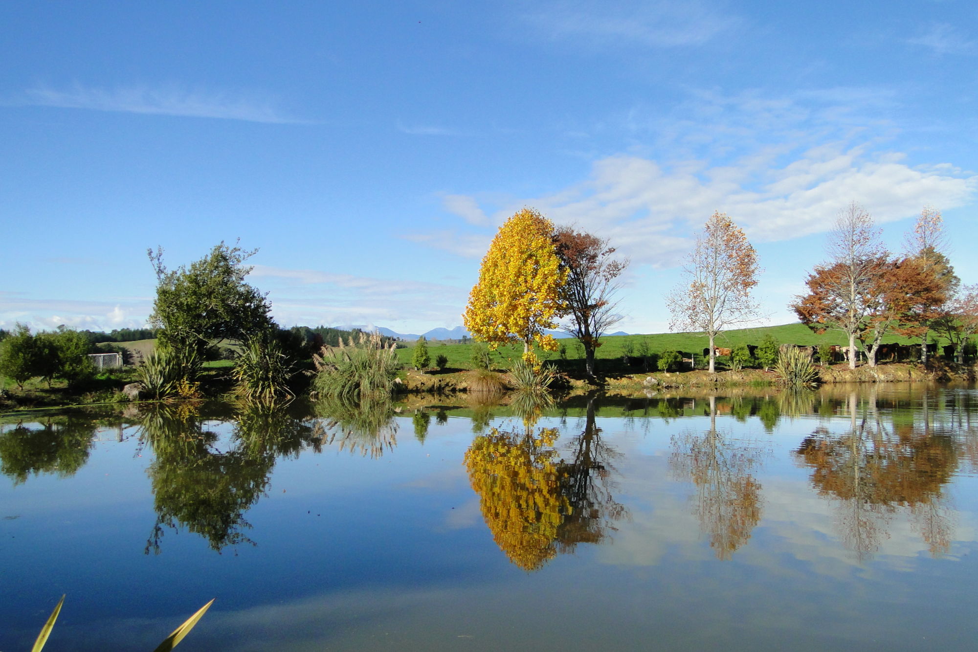 Kelling Road, Upper Moutere, Tasman, 0 침실, 1 욕실