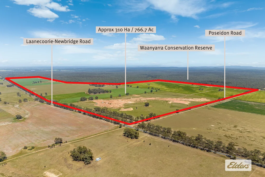 Newbridge Approx 310 Hectares / 766.7 Acres - Cropping and Grazing